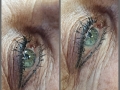 Healed eyeliner by Jo Bregazzi